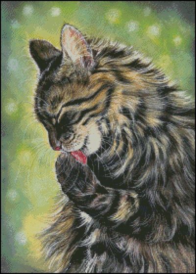 (image for) Tender Moments